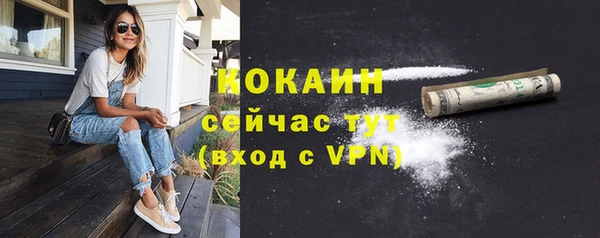 тгк Бородино