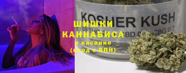Альфа ПВП Верея