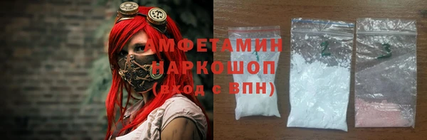 тгк Бородино