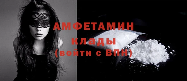 тгк Бородино