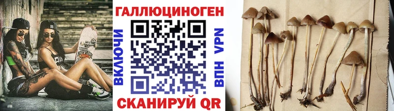 Галлюциногенные грибы ЛСД  хочу наркоту  Верхоянск 